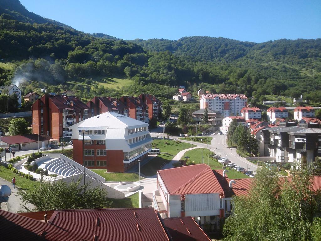 Apartman Bujisic Apartment Pluzine Exterior photo